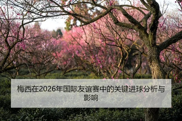 梅西在2026年国际友谊赛中的关键进球分析与影响