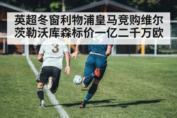 英超冬窗利物浦皇马竞购维尔茨勒沃库森标价一亿二千万欧